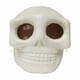 thumbnail image 1 of Juguete de Calavera con Ojos Explosivos, Gris, Aterrador y Antiestrés | Juguete Antiestrés de Descompresión | Juguete de Terror con Gusanos En Los Ojos | Regalo de Broma de Halloween para Adultos y A, 1 of 3