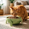thumbnail image 5 of Elevated Spill Proof Pet Bowl with Stand, Non Slip Raised Feeding Bowl for Small Dogs Cats Reduces Vomiting, 5 of 5