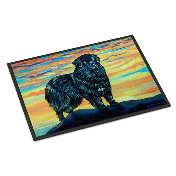 Carolines Treasures 7518JMAT Newfoundland Indoor or Outdoor Doormat, 24" x 36", Multicolor