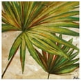 thumbnail image 1 of Great BIG Canvas | "New Palmera Take Two II" Art Print - 30x30, 1 of 4