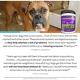 thumbnail image 6 of Enzyme Miracle | 100 Servings, Powder | Digestive Enzymes for Dogs and Cats, 6 of 9