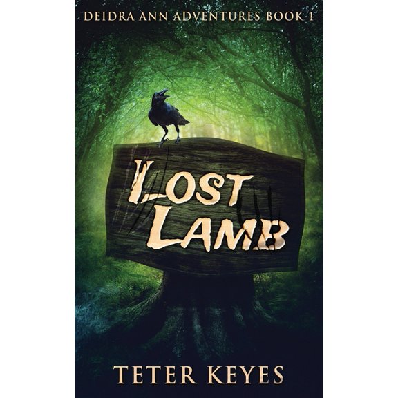 Deidra Ann Adventures Lost Lamb, Book 1, (Paperback)