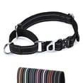 thumbnail image 1 of Jipimon Collar De Perro Martingale De Nailon Reflectante Suave Con Hebilla De Aleación, Collar De Perro Martingale Para Perros Pequeños, Medianos Y Grandes (Grande Negro), 1 of 1