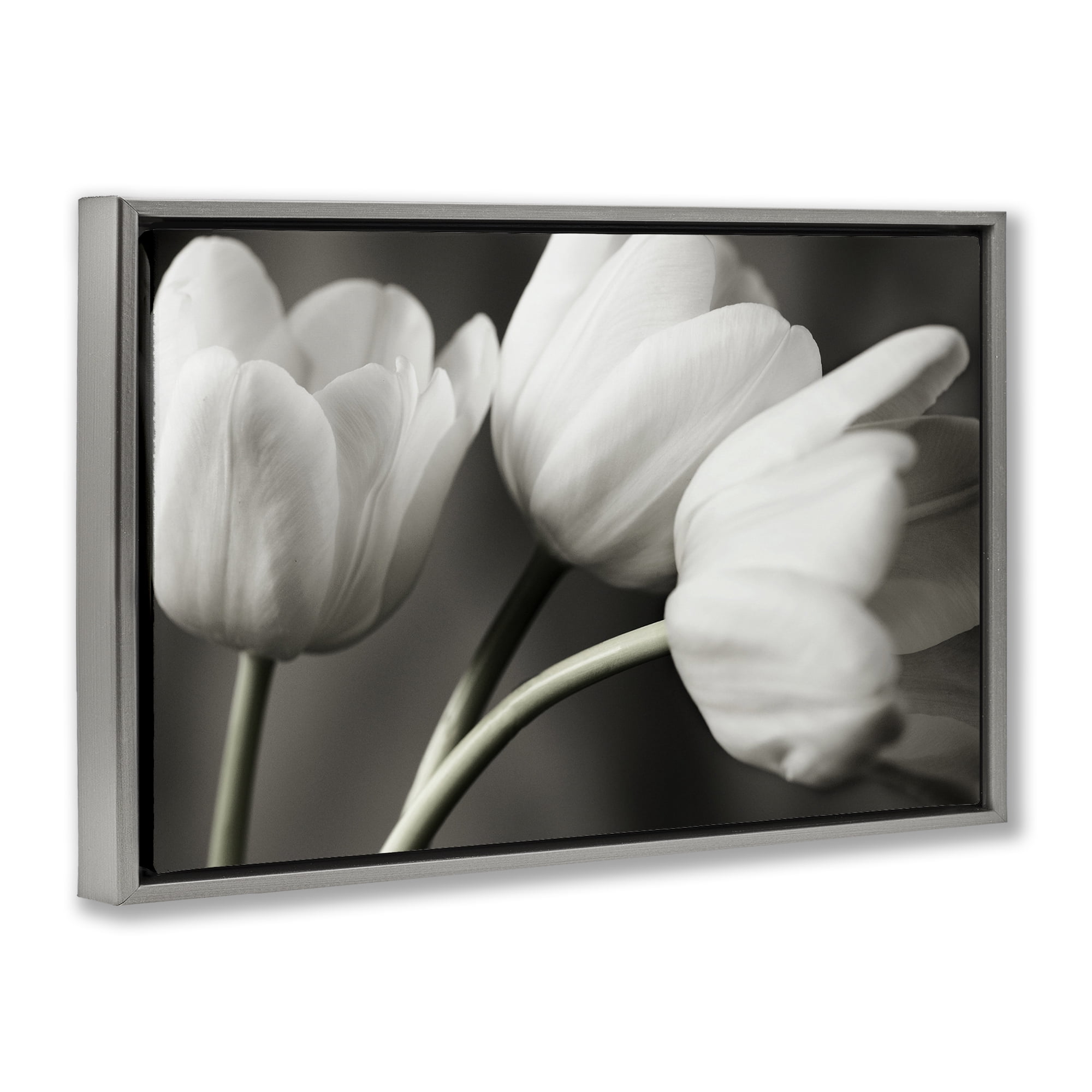 Stupell Industries Row Of Monochrome Tulips Gray Framed Floater Canvas Wall Art, design by Tom Quartermaine