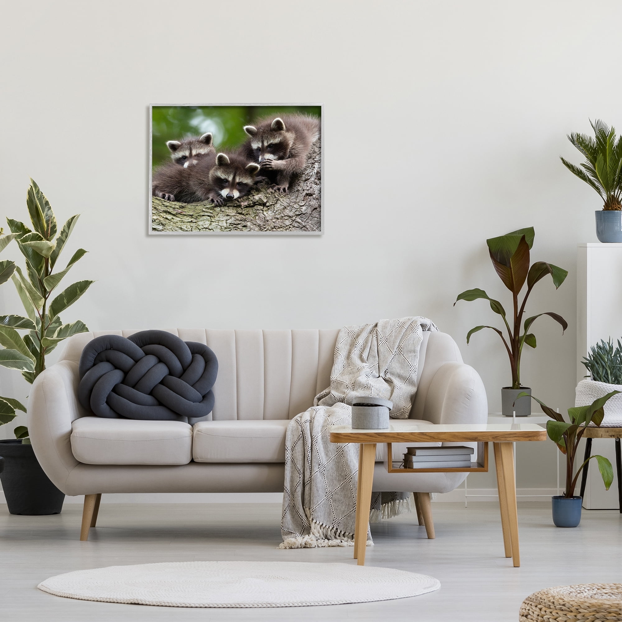 Stupell Industries Raccoon Babies in Tree Animals & Insects Photography Gray Framed Art Print Wall Art, 30 x 24