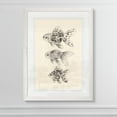 thumbnail image 3 of Wexford Home Goldfish II-Framed Print - White - 22X30, 3 of 4