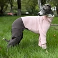 thumbnail image 3 of HQREA Greyhound Dog Winter Coat Jumpsuit Four-Legged Hooded Fullbody Whippet Clothes with Pocket, 3 of 6
