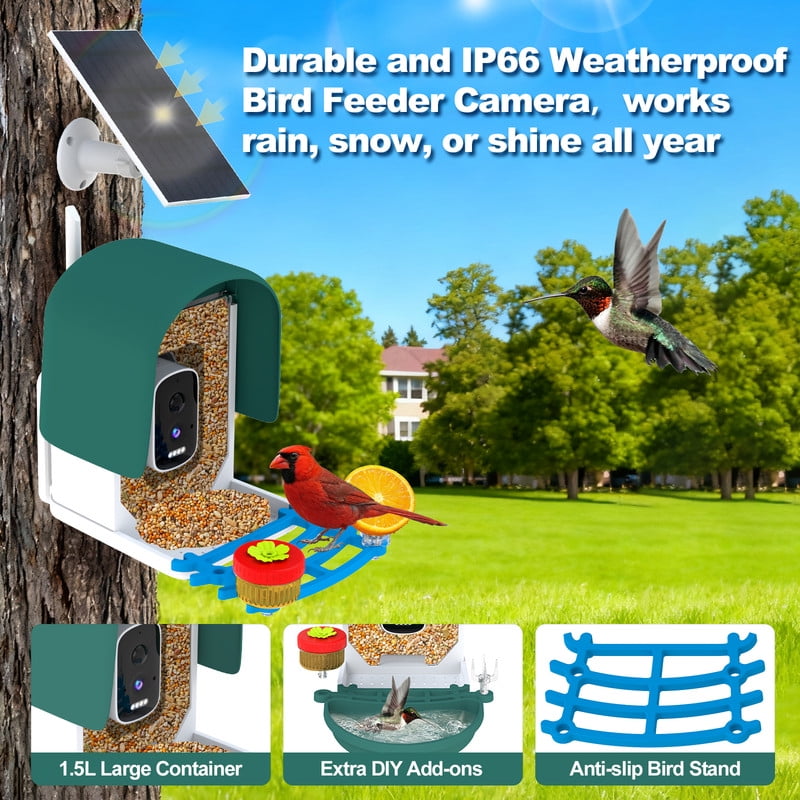 4k Smart Bird Feeder with Camera, Build-in 32GB SD Card & Solar Powered, 5MP Security Camera Al ldentify 10000+ Birds Color Night Vision & Real-Time App Alerts DlY Add-ons for Bird Watching