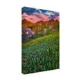 thumbnail image 2 of Trademark Fine Art 'San Juan Sunrise copy' Canvas Art by Darren White Photography, 2 of 3