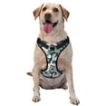 thumbnail image 1 of KLL Cute Poodle Dog Pattern Dog Harness - Lightweight,Soft,Adjustable Small Harness and Leash Set-X-Large, 1 of 6