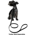 thumbnail image 5 of DogLine - Biothane Waterproof Dog Leash Strong Coated Nylon Webbing with Black Hardware Odor-Proof for Easy Care Clean High Performance for Small or Large Dogs(Black: Width 1/2" | L: 48"(4ft)), 5 of 7