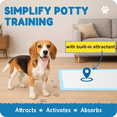 thumbnail image 6 of QOPR Puppy Pads 50 Count, 17.5” x 23.5” Super Absorbent Dog Pee Pads with Adhesive Strips, Leak-Proof Quick Dry Puppy Training Pads for Puppies & Senior Dogs, 6 of 9