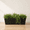 Black, variant on Ecobo 13.8 inches Eco-Friendly Rectangular Planter box, Elemento Indoor/Outdoor use, Durable, Versatile & Lightweight, Designed by Brazilian Artisans, Contemporary All-Weather Desgn - Beige