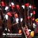 thumbnail image 4 of Cadena de luces C9 ODEETRONIC, 10 m, 50 LED, rojo y blanco, 120 V, 4 of 7