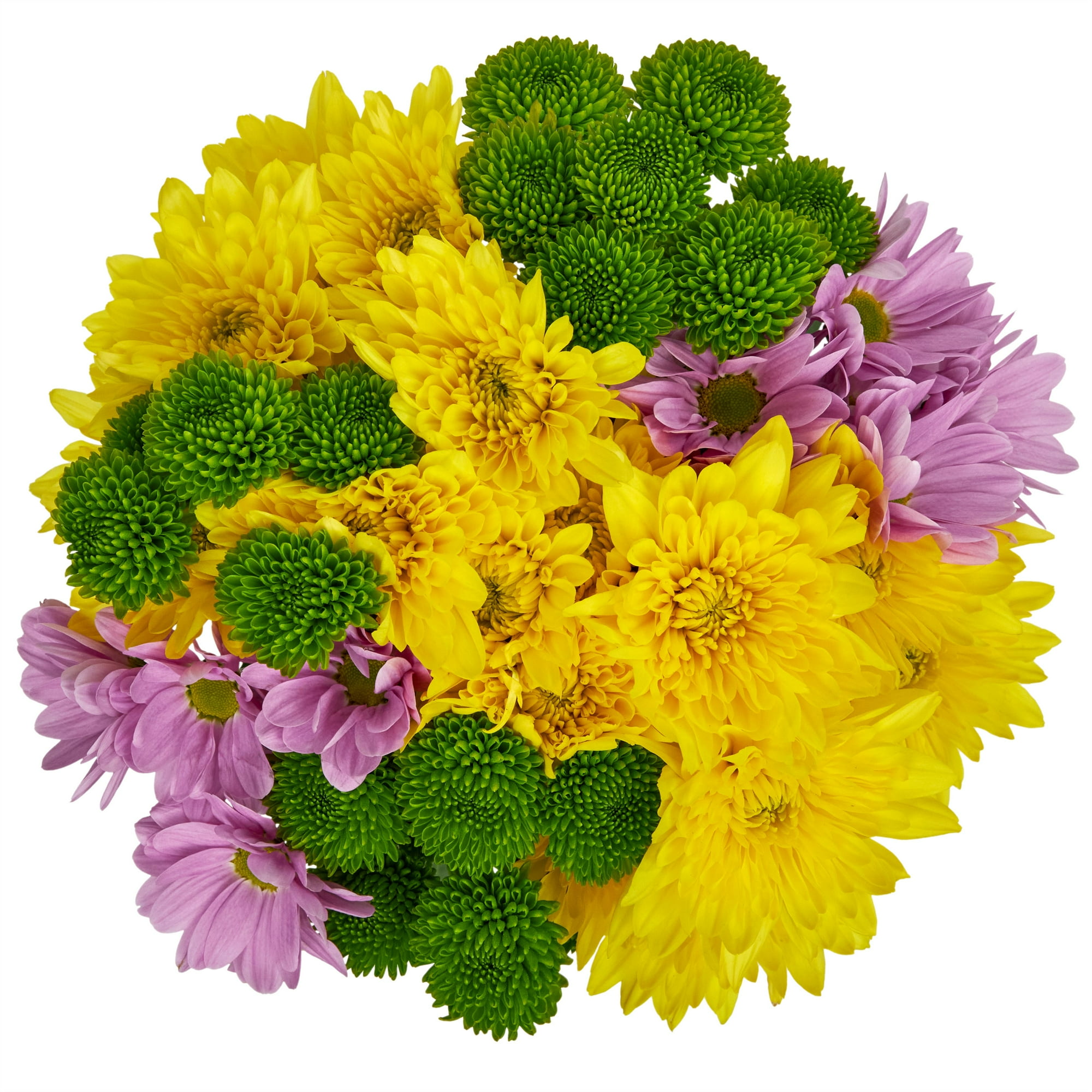 Rainbow Pom Flower Bunch Small , Colors May Vary