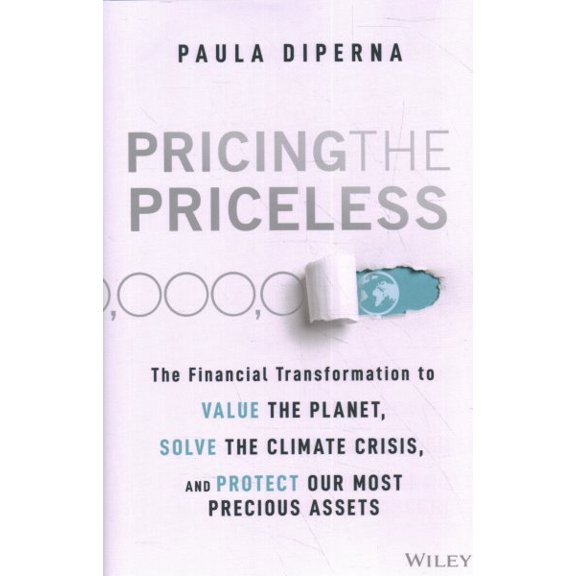Pre-Owned Pricing the Priceless: The Financial Transformation to Value the Planet, Solve the Climate Crisis, and Protect Our Most Precious Assets (Hardcover) 1119913802 9781119913801