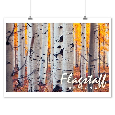 Flagstaff, Arizona - Aspen Trees - Fall Colors - Lantern Press Photography (9x12 Art Print, Wall Decor Travel