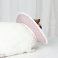 thumbnail image 2 of Houderco 1Ud Collar De Protección Elizabeth Para Mascotas Pequeñas Uso Decorativo, 2 of 8