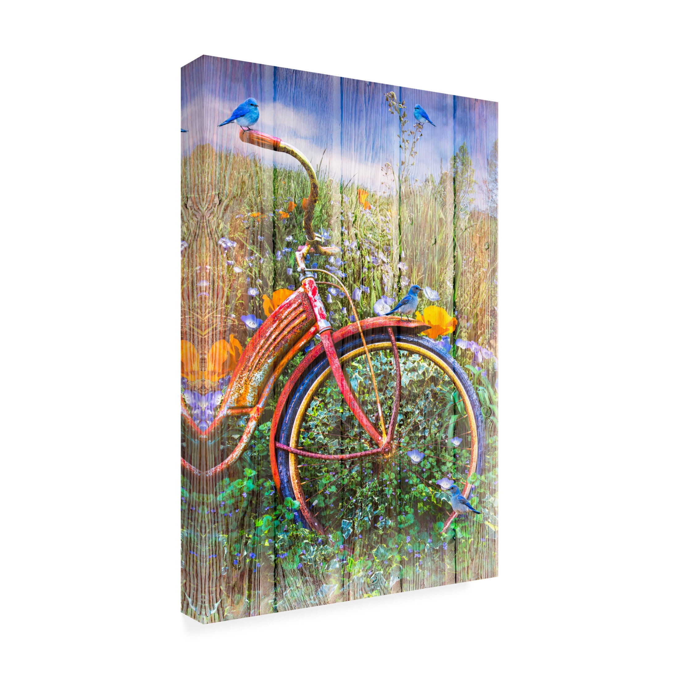 Canvas Wall Art - Celebrate Life Gallery 'Bluebirds on a Bicycle' Wall Art for Living Room, Bedroom, or Office Décor by Trademark Fine Art - 30 x 47 Inches