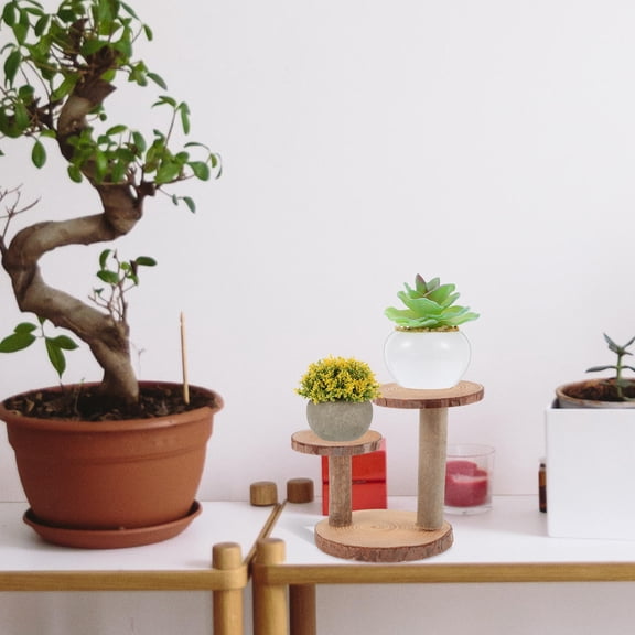Moluckfu 1Pc Natural Wood Plant Stand with Strong Bearing Capacity for Indoor Flowerpot Display