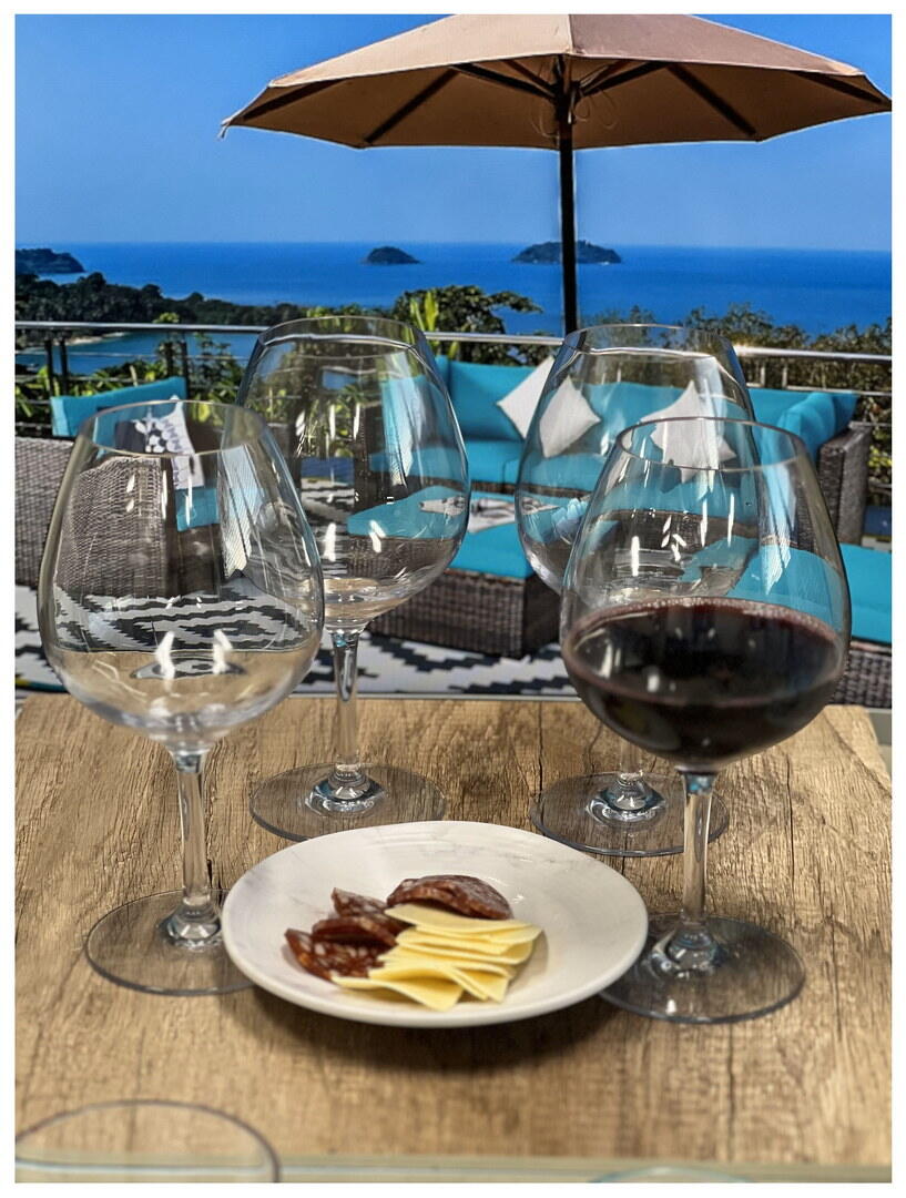 Kitchen Utensil Set Plastic Wine Glasses Set of 4 (23oz), BPA Free Tritan Wine Glass Set, Unbreakable Red Wine Glasses, White Wine Glasses,Kitchen Sink Caddy