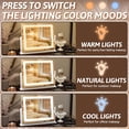 thumbnail image 2 of FENNIO Vanity Mirror with Lights, 12" x 16" Lighted Makeup Mirror with Smart Touch Control, 3 Color Modes & Brightness Adjustable, LED Makeup Mirror with 10X Magnification, 360° Rotation for Bedroom, 2 of 7
