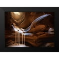 thumbnail image 2 of Pablo De, Juan 14x11 Black Modern Framed Museum Art Print Titled - Antelope Waterfall, 2 of 5