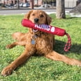 KONG® Signature Stick with Rope Soft Body Dog Toy, Medium - Walmart.com