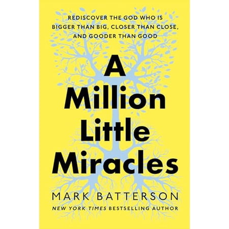 Pre-Owned A Million Little Miracles: Rediscover the God Who Is Bigger Than Big, Closer Than Close, and Gooder Than Good, 9780593192818, 0593192818, Hardcover,