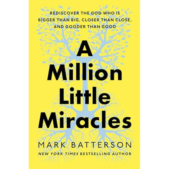 Pre-Owned A Million Little Miracles: Rediscover the God Who Is Bigger Than Big, Closer Than Close, and Gooder Than Good (Hardcover) 0593192818 9780593192818