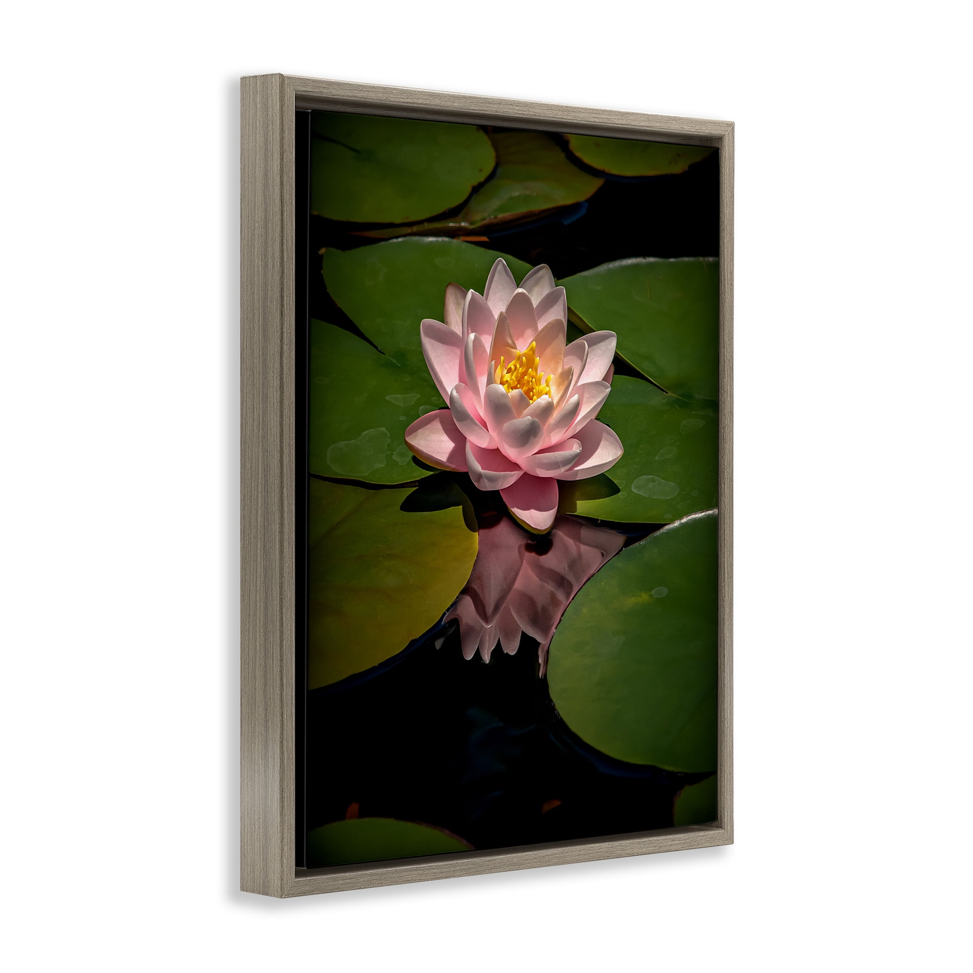 Pink Lotus Among Lily Pads Brown Framed Floater Canvas Wall Art, design by Phillip Flowers