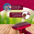 thumbnail image 3 of CARDA C/BOTON AUTOLIMPIEZA CH, 3 of 9