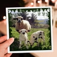 thumbnail image 7 of 3drose, Happy Easter - Easter, Animal, Ewe, Love, Fun, Love, Cute, 6 Greeting Cards with Envelopes, 7 of 7