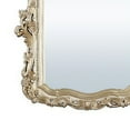 thumbnail image 4 of 56 Inch Wall Mirror Ornate Carving Champagne Gold - Saltoro Sherpi, 4 of 5
