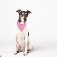 thumbnail image 4 of Fankiway Dog Bandanas Pet Triangular Scarf Bib - Adjust with Two Snaps - Kerchief Set Accessories for Dogs Puppy Cats Pet Supplies Clearance Small Pet Accessories, 4 of 9