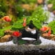 thumbnail image 4 of Decoración para acuario, accesorio para pecera de construcción robusta, diseño de cabaña de musgo para agua salada y dulce, mejora el atractivo visual, seguro para los peces (11 x 9 x 6 cm), 4 of 8