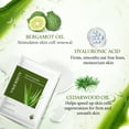thumbnail image 2 of Aloderma Firming Sheet Masks for Face with 88% Organic Aloe Vera - 5 pcs Face Mask Pack with Hyaluronic Acid - Nourishing Facial Mask with Arginine for Deep Moisturization - Rejuvenating Sheet Masks, 2 of 8