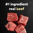 thumbnail image 4 of Cesar Simply Crafted Beef, Chicken, Purple Potatoes, Peas And Carrots Wet Dog Food, 1.3 Oz Tub, 4 of 11