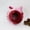Wine Red, variant on Unbranded Polyester Parrot Breeding House