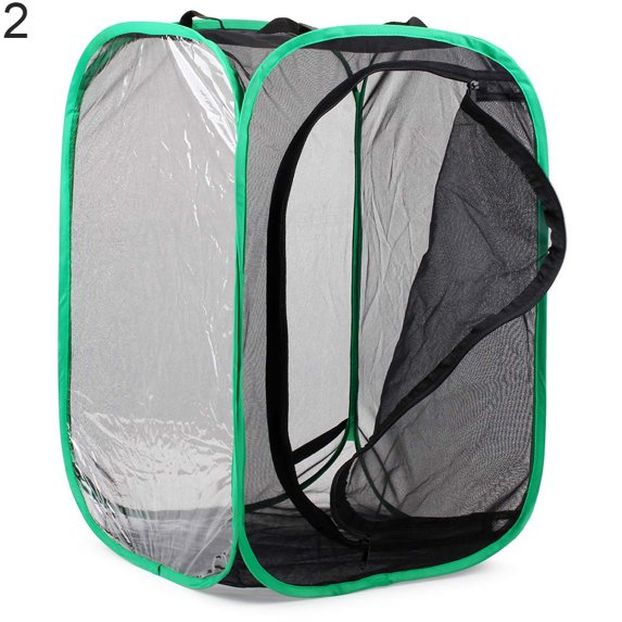 Collapsible Butterfly Habitat Feeding Cultivation Terrarium Mesh Cage by Mightlink