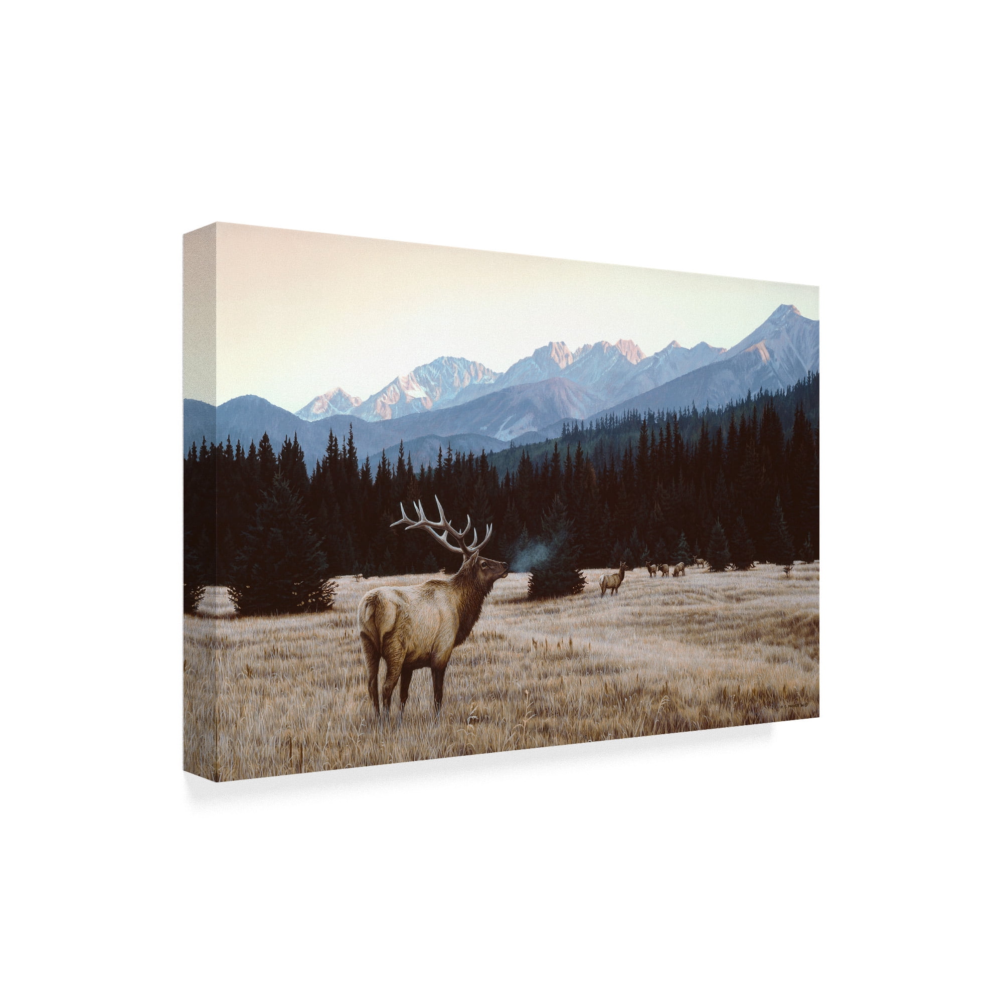 Trademark Fine Art 'Autumn Meadow' Canvas Art by Ron Parker