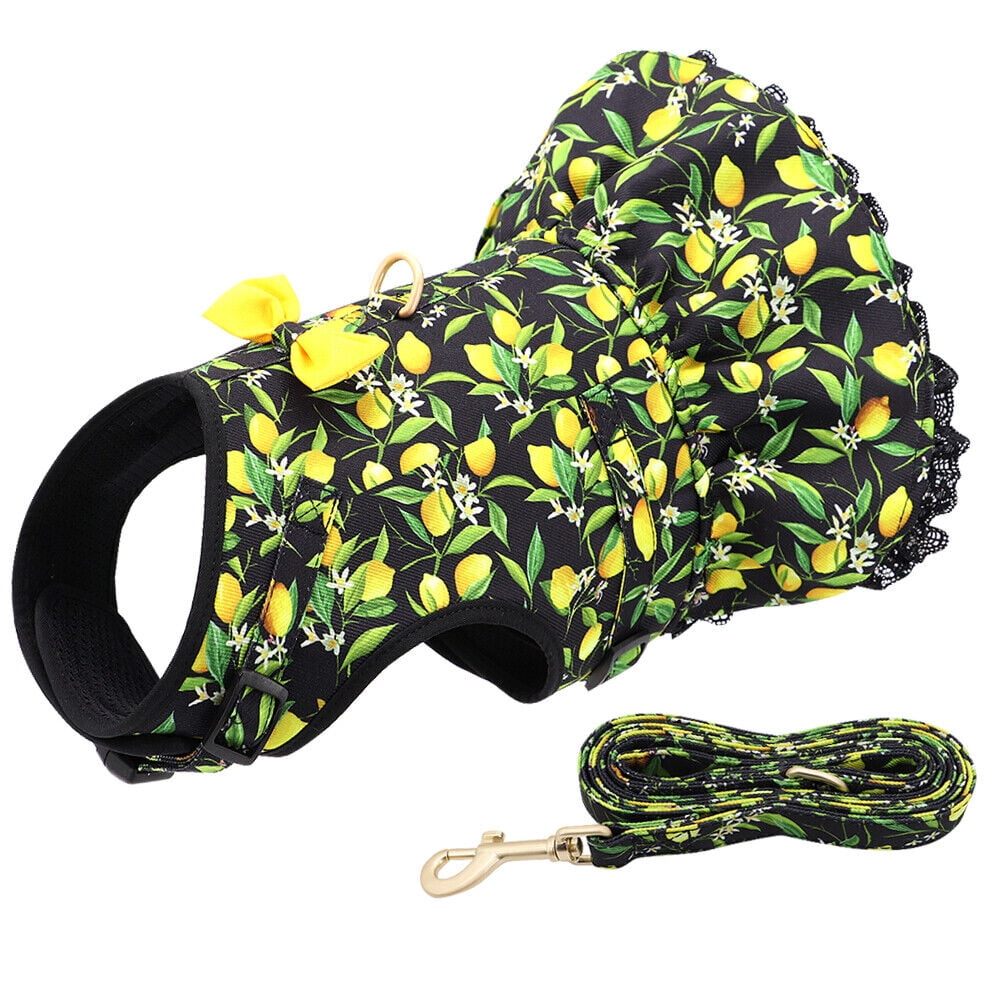 Didog Female Dog Harness Dress and Leash Fancy Small Pet Cat Summer Vest Clothes Yorkie