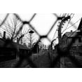 thumbnail image 2 of Palacios Prieto, Javier 14x11 Black Ornate Wood Framed with Double Matting Museum Art Print Titled - Behind The Fences - Auschwitz I, 2 of 4