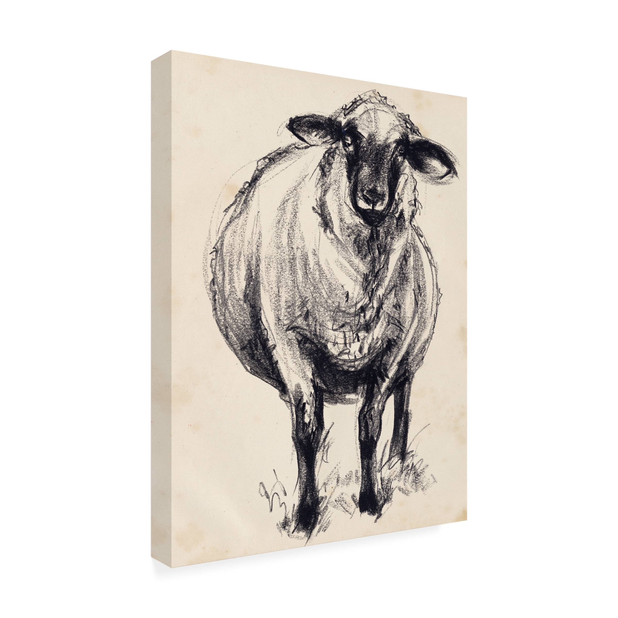 Jennifer Paxton Parker 'Charcoal Sheep II' Canvas Art