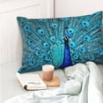 thumbnail image 4 of Honeii Beautiful Blue Peacock Print Pillow Cases,Plush Throw Pillow Covers,Decorative Pillowcase for Sofa, Couch, Living Room-16"x24", 4 of 6