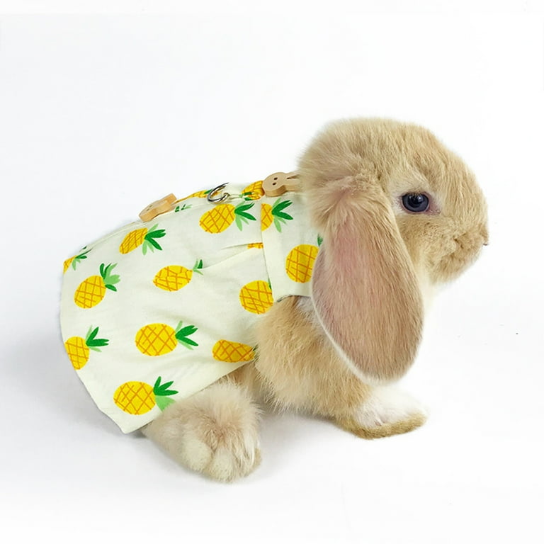 Rabbit harness best sale walmart