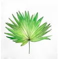 thumbnail image 2 of Atelier B Art Studio 15x15 Gold Ornate Wood Framed with Double Matting Museum Art Print Titled - Fan Palm Leaf, 2 of 4
