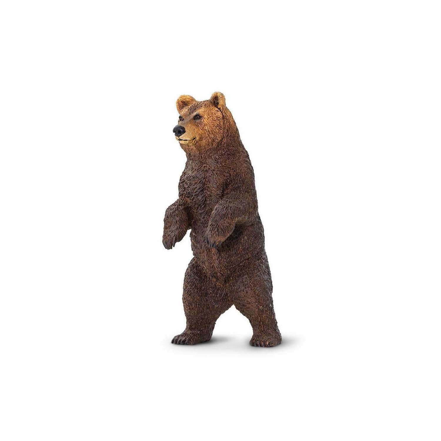 d*3様 world of miniature bears GUILOY　オート Grizzly Bear Toy | Safari Ltd®