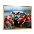 thumbnail image 2 of Designart "Guardian of the Coastal Crab" Animals Floater Framed Wall Art Print, 2 of 7