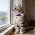 thumbnail image 2 of Mumup Rhinestone Cat Collar Breakaway, Soft Velvet Cat Collars with Bell, Adjustable Comfortable Cats Collar, 7.5-12.5 Inch for Cat, Kittens and Puppies, 2 of 7